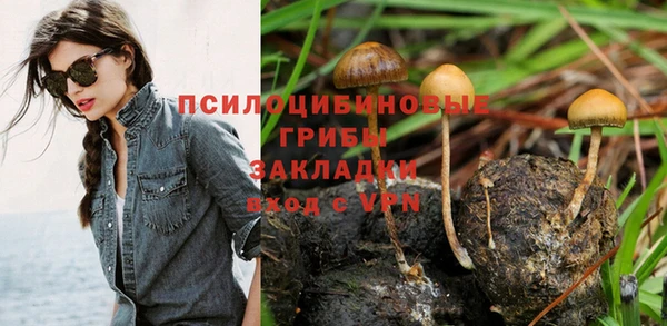 молекула духа Балабаново