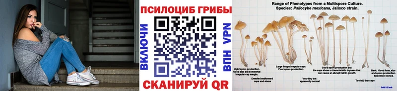 Галлюциногенные грибы ЛСД  KRAKEN сайт  Кудымкар 